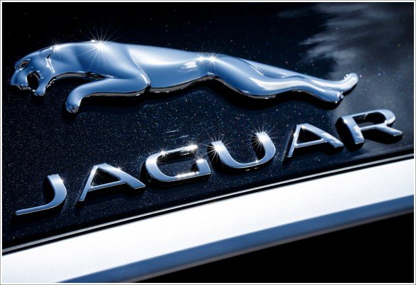 Jaguar car emblem