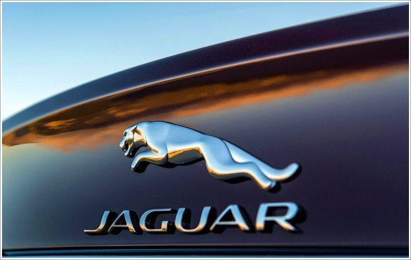 Jaguar Logo Colors