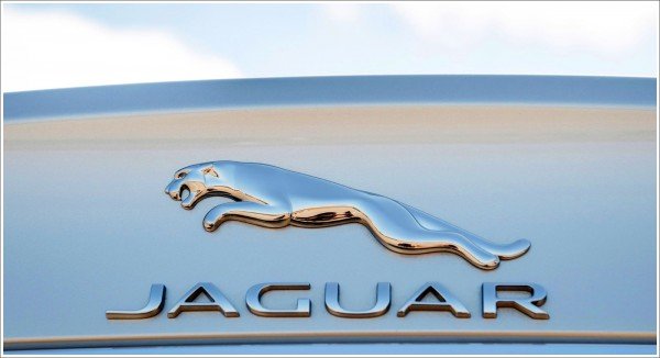 Jaguar car logo image